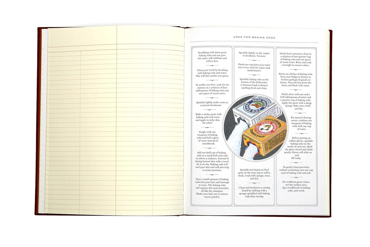 Observer's Notebook: Home