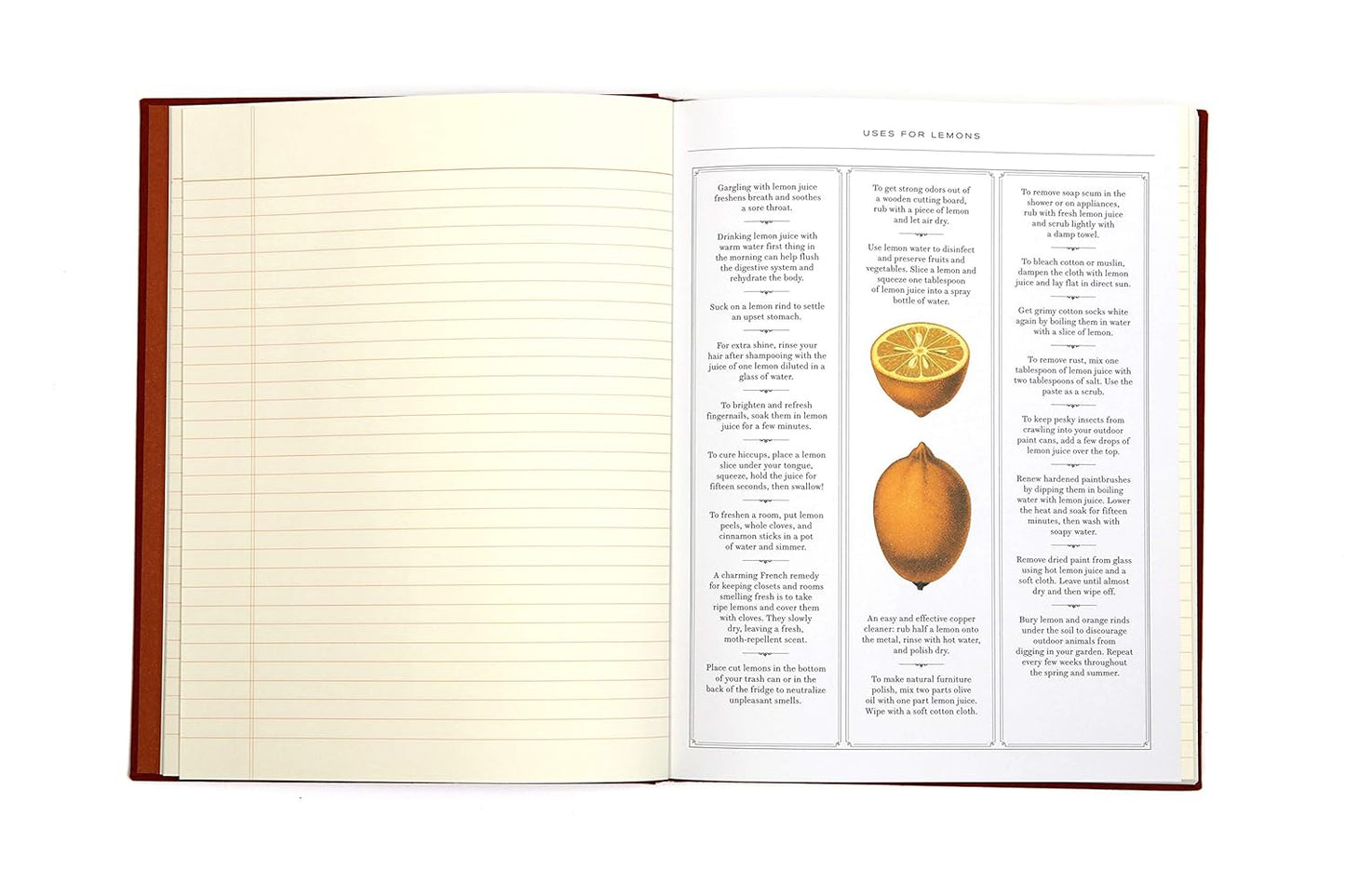 Observer's Notebook: Home