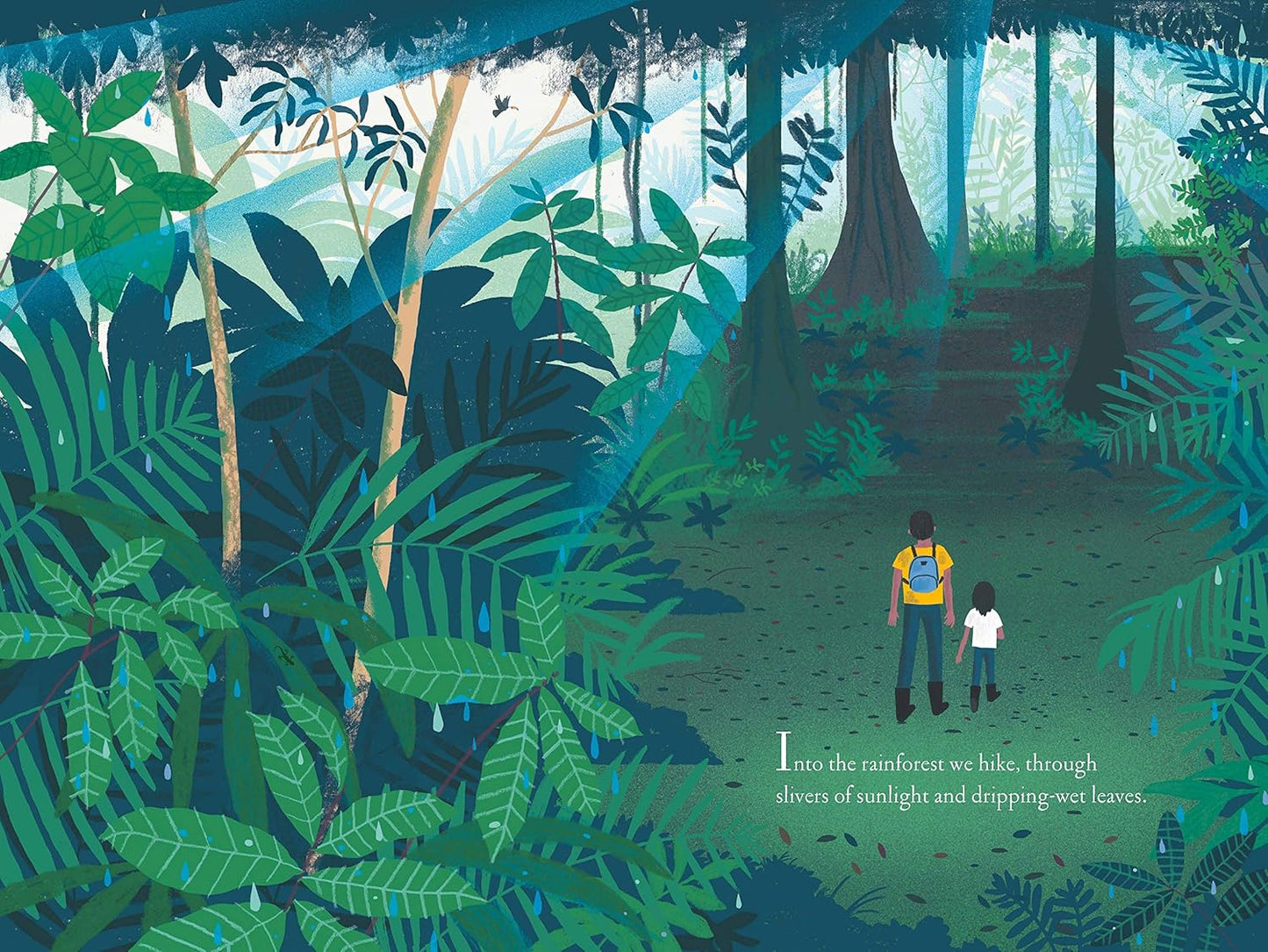 Over and Under the Rainforest