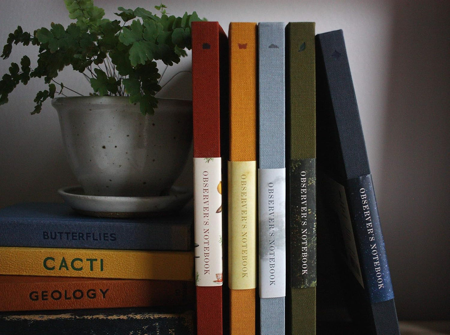 Observer's Notebook: Home