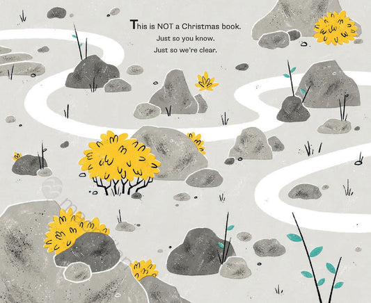 This Is Not a Christmas Book* (*This Is a Book About Rocks)