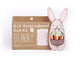 Bunny Doll Embroidery Kit