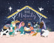The Nativity Pop Up Book